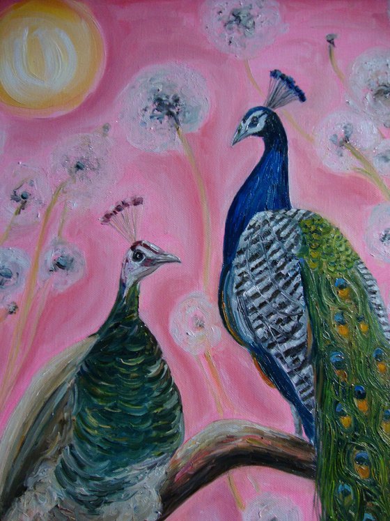 Pair of peacocks