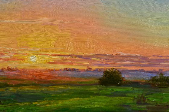 Dawn in the meadow