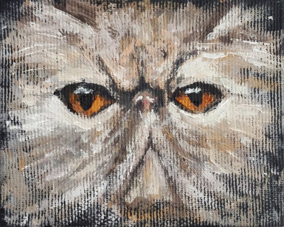 Cat V / FROM MY A SERIES OF MINI WORKS CATS/ ORIGINAL OIL PAINTING