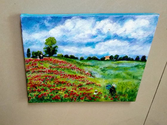 Poppy fields in summer