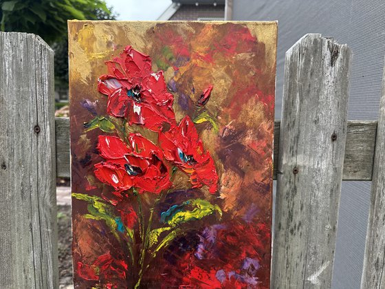 Red poppies dark background
