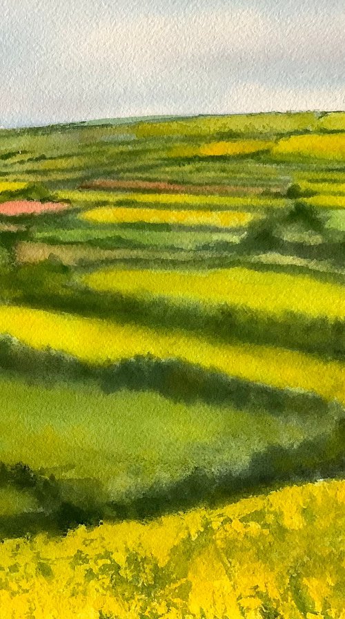 Fields of gold by Darren Carey