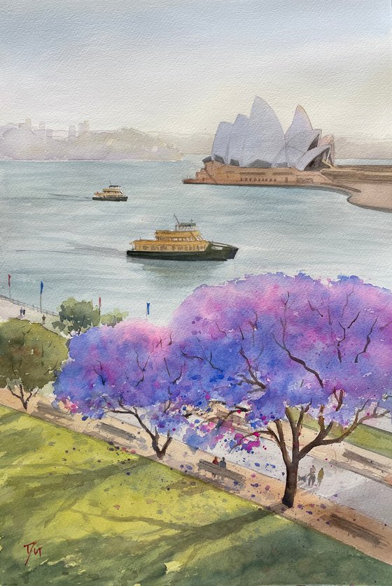 Sydney harbour - opera house with jacaranda