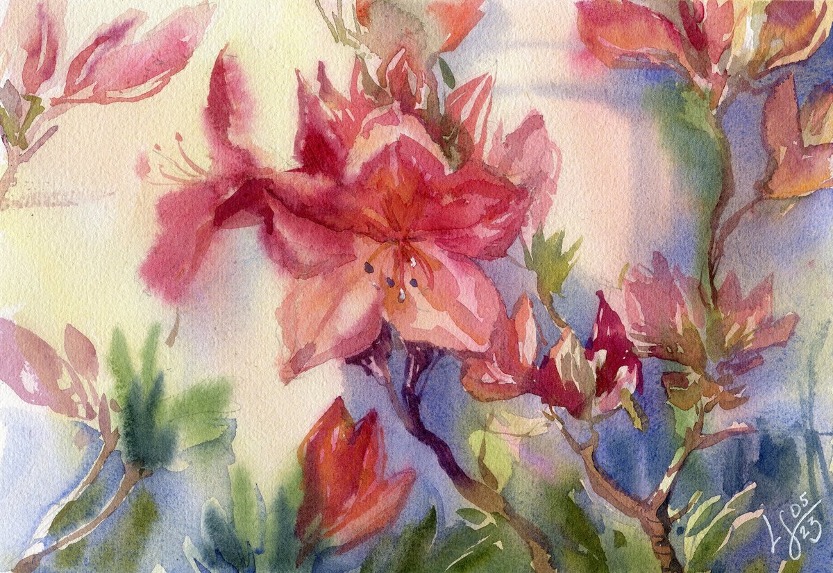 Radiant Rhododendrons by SVITLANA LAGUTINA