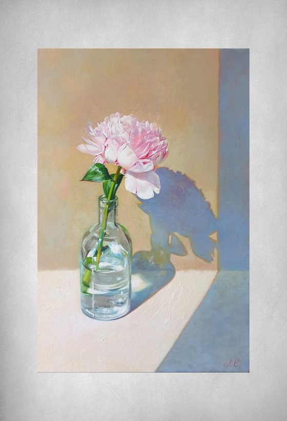 "Morning peony." still life peony pink summer  white liGHt original painting  GIFT (2020)