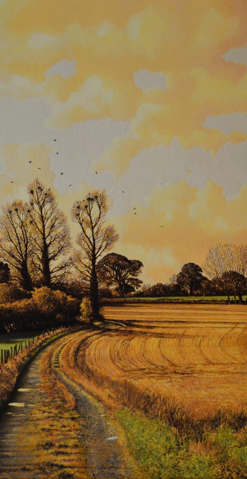 WESTONBIRT AUTUMN by Paul Simpkins