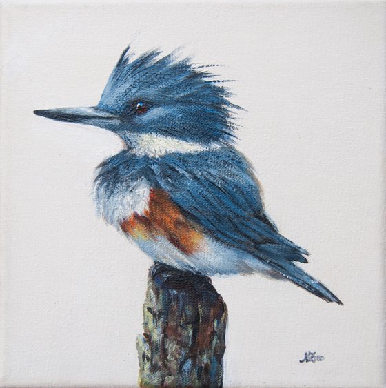 Kingfisher 5