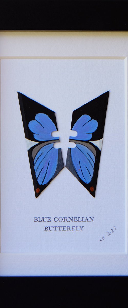 Blue Cornelian butterfly by Lene Bladbjerg