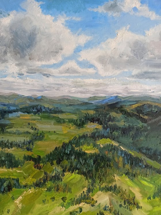 Mountains Painting Original Art National Park Forest and fields 20x32''