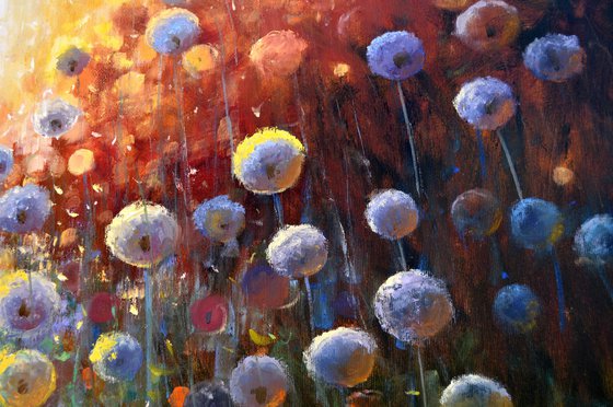 Dandelions at sunrise