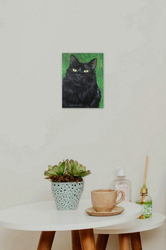 Charismatic Cat
