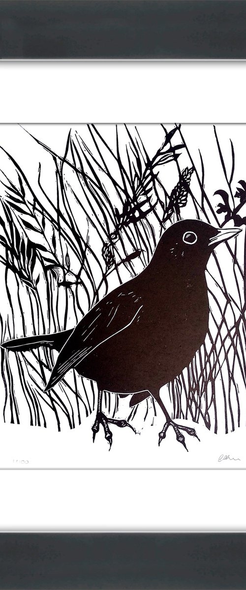 Blackbird linoprint by Carolynne Coulson