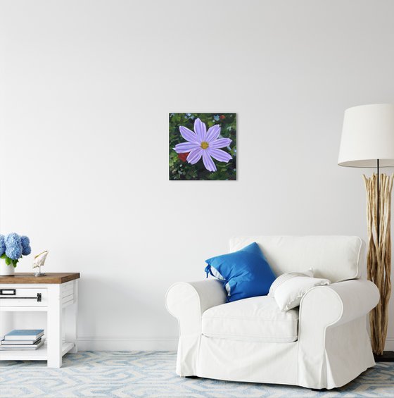 Purple Cosmos Flower