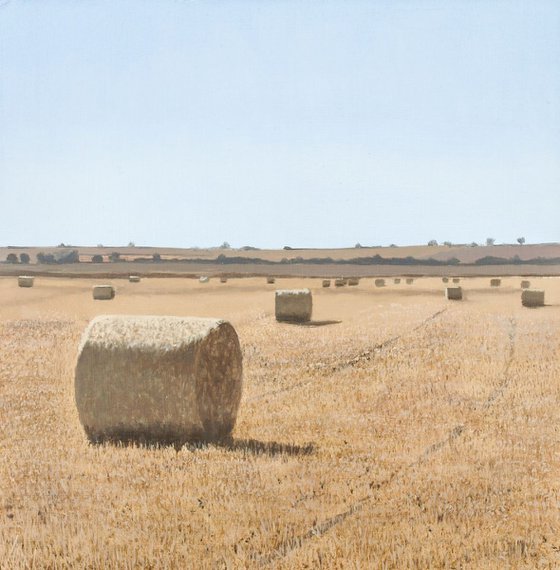 Hay Rolls