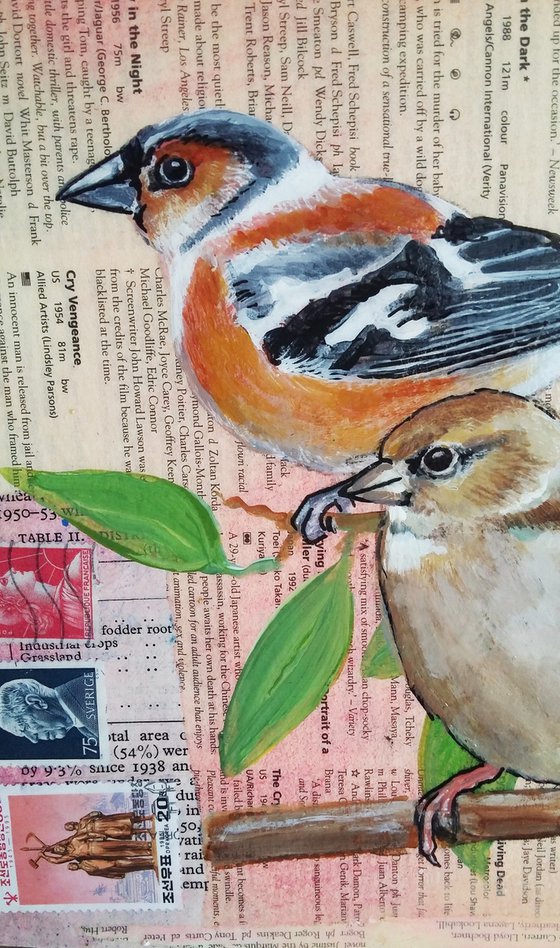 Chaffinches - Ornithology#2 - Framed ready to hang original painting