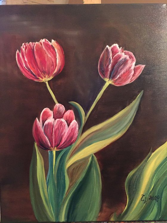 Three Tulips