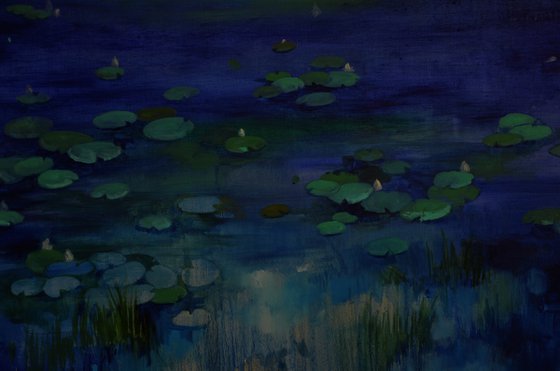 Lily pond. Lullaby