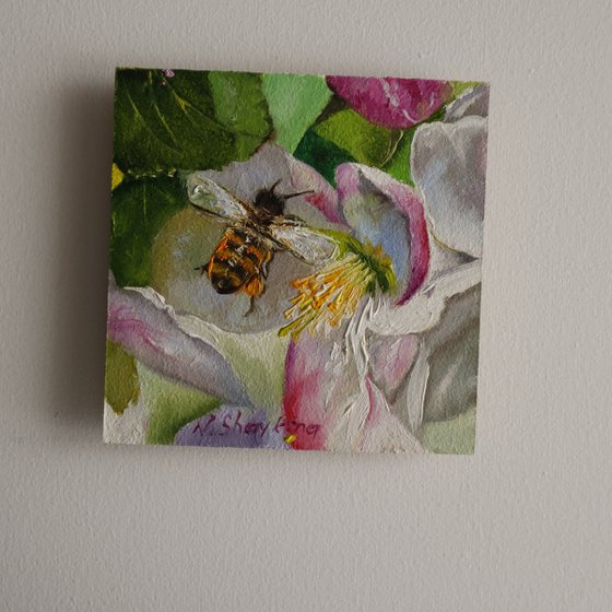 Bee on Pink Blossom