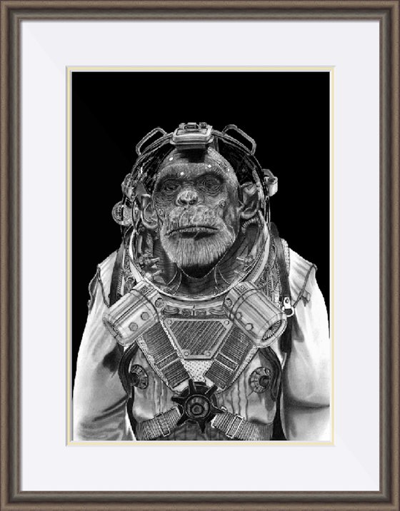 Space Chimp