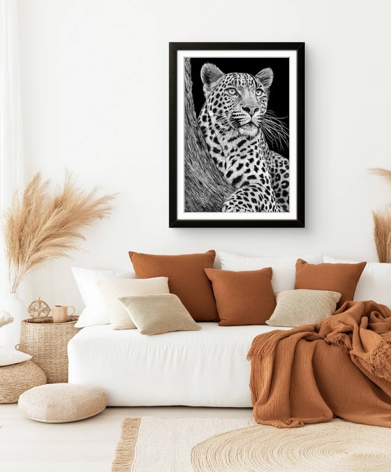 Resting Leopard 2026