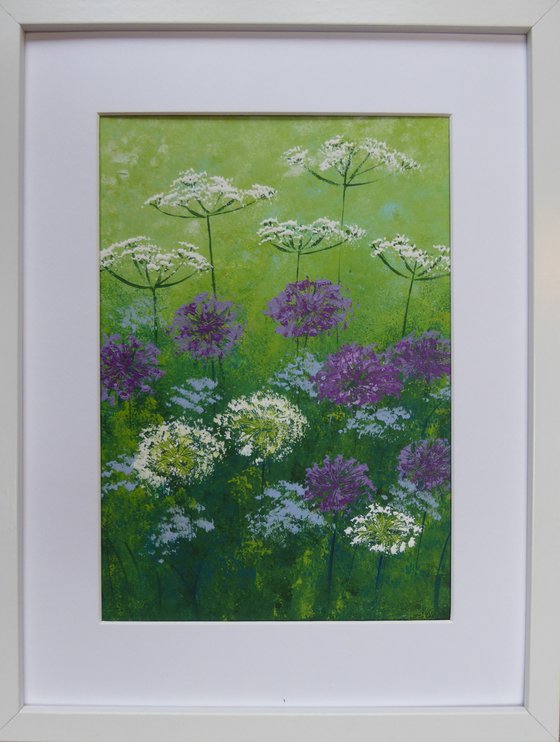 Alliums and Cow Parsley