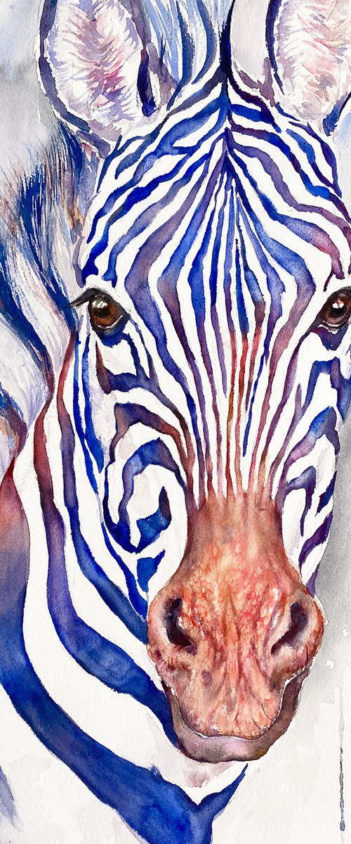 Zebra Calum by Arti Chauhan