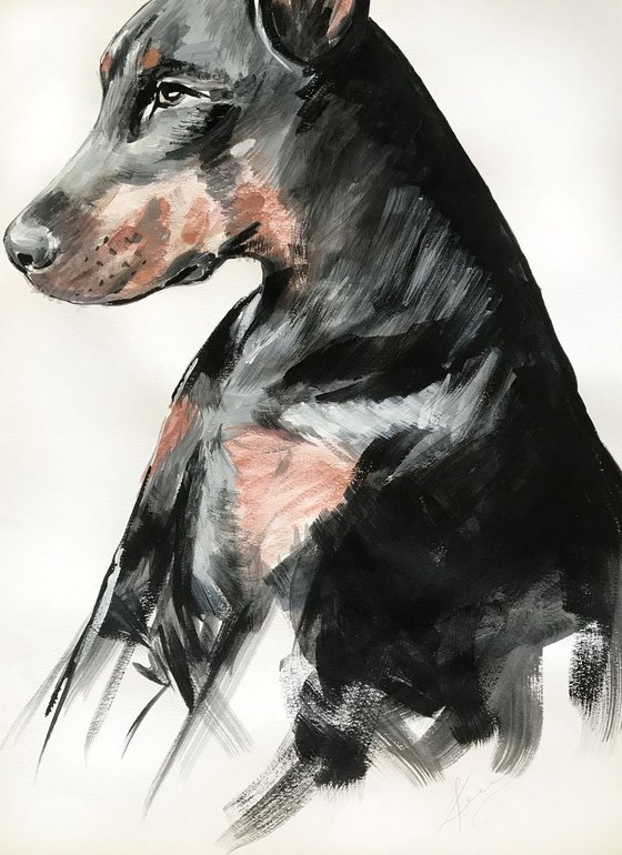 Doberman, pet portrait