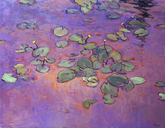 Water Lilies