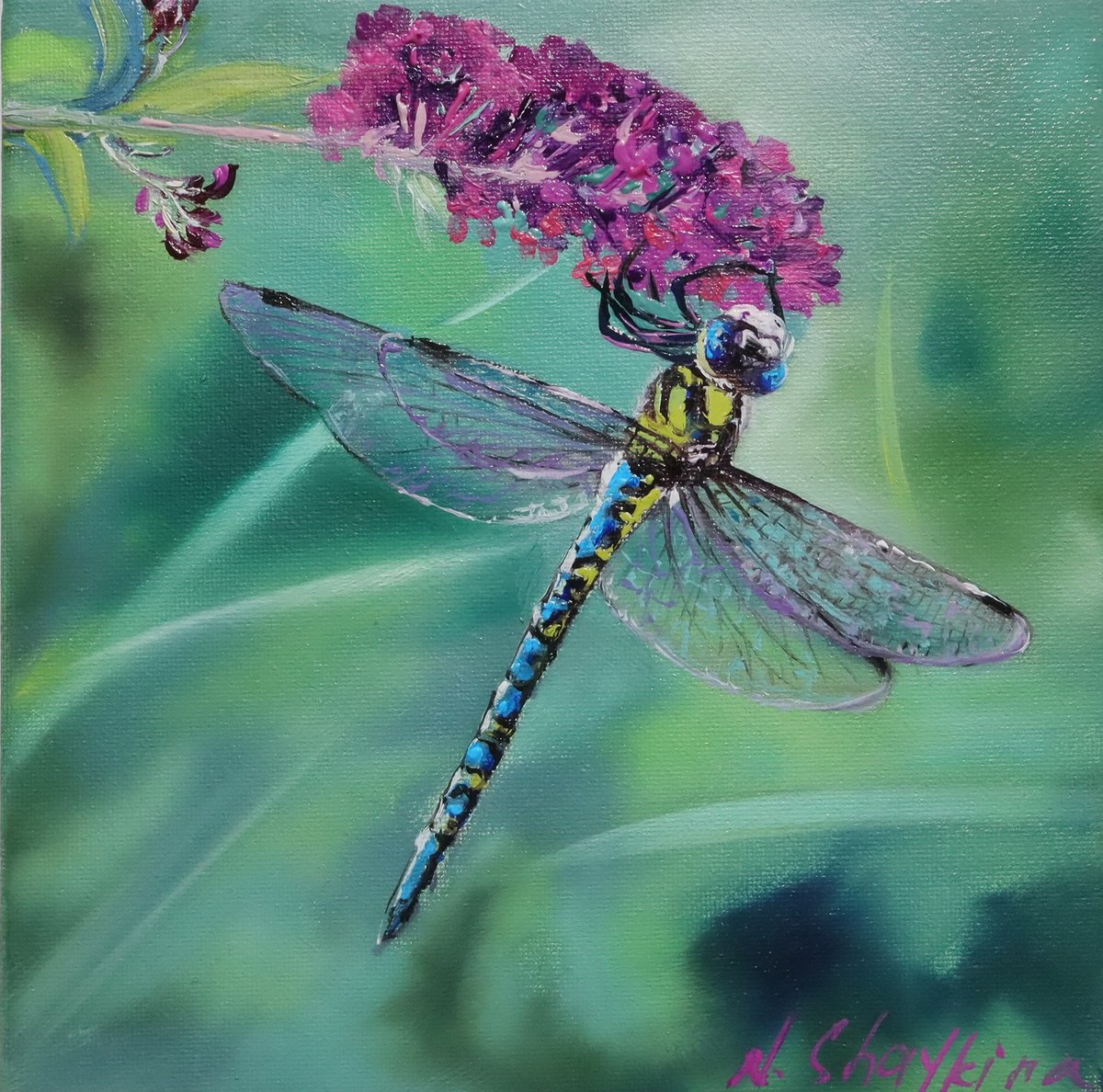 Blue Dragonfly On Pink Flower By Natalia Shaykina, 6 X 6, Artwork For Sale On Artfinder