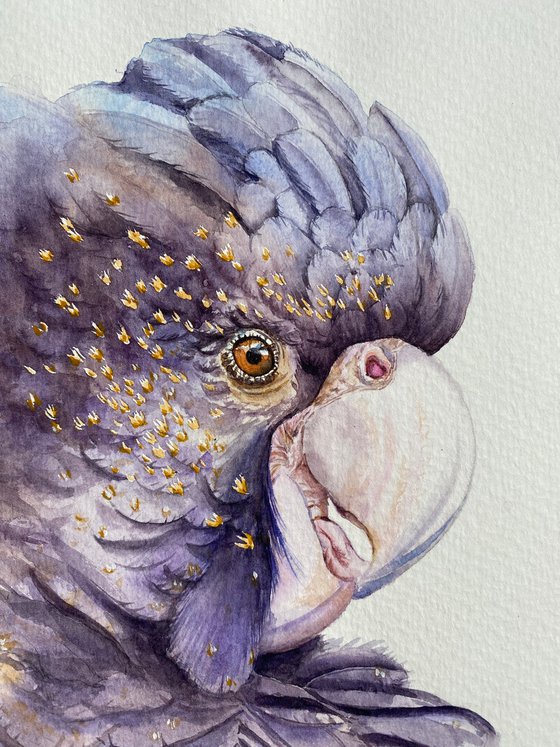 Sunlit Cacado, A Playful Glimpse of Nature in Watercolour