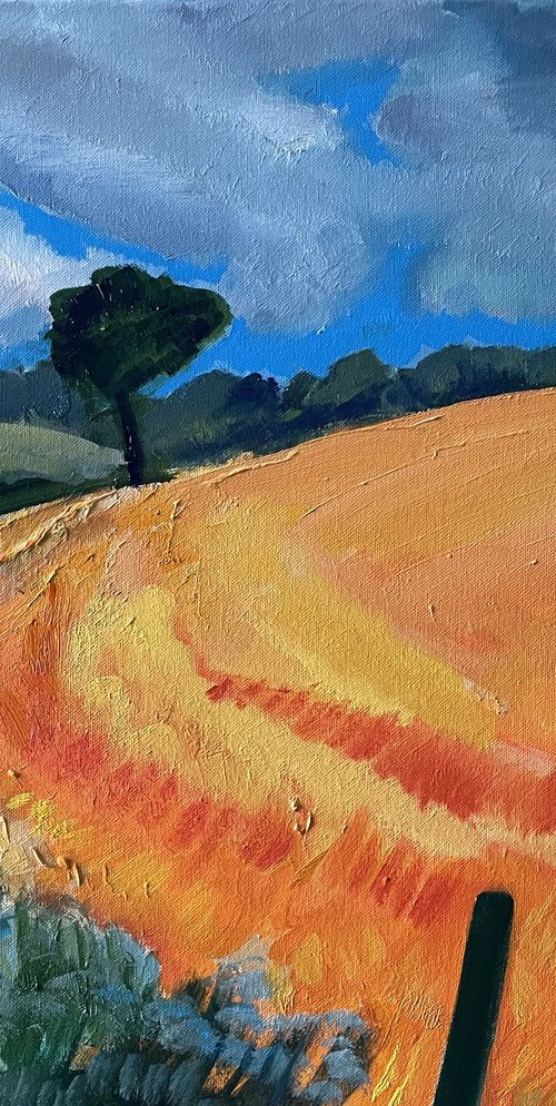 Late Summer, Fife by Stephen Howard Harrison