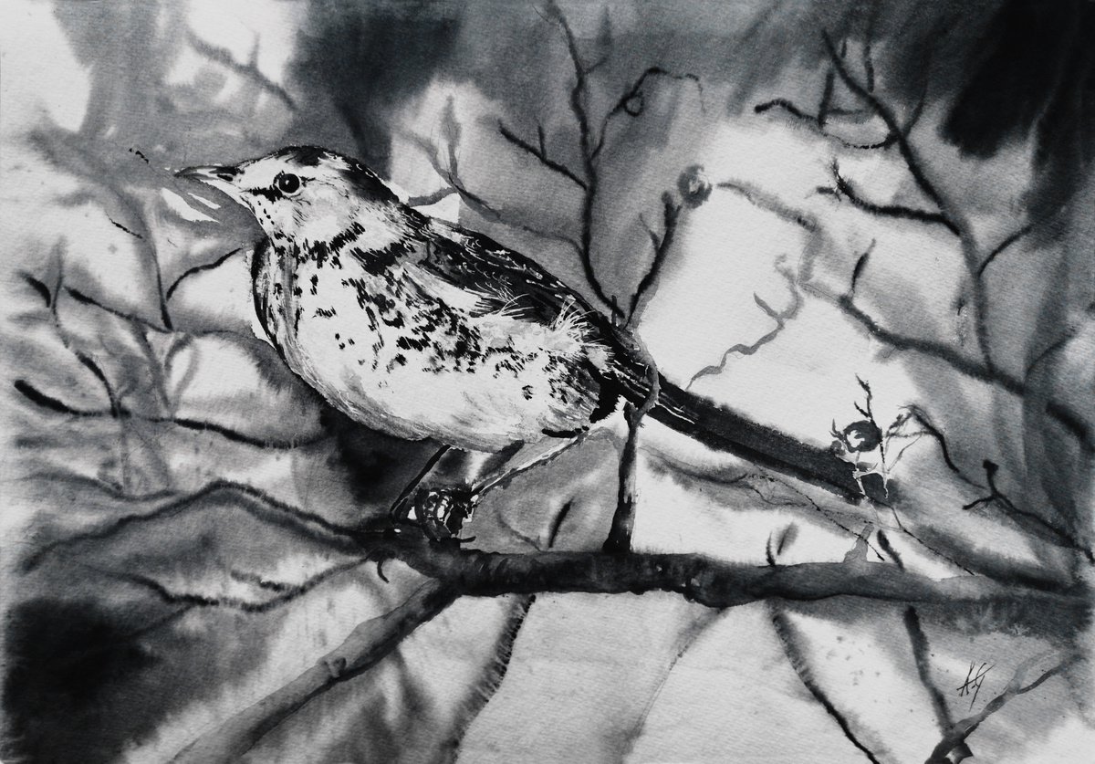 Impressionistic Animal Watercolour By Aneta Gajos, 20 X 14, Fieldfare, Original Artwork