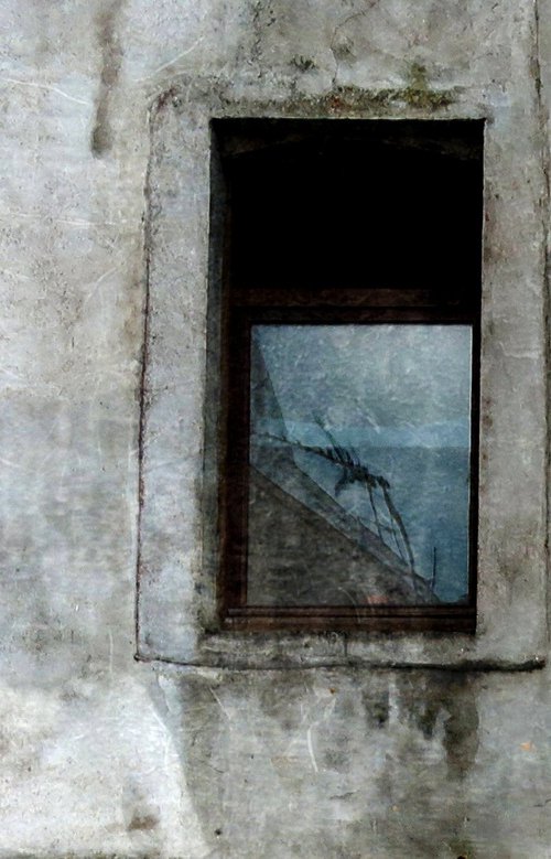 Mosquito... by Philippe berthier