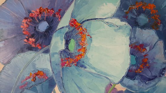 Blue poppies