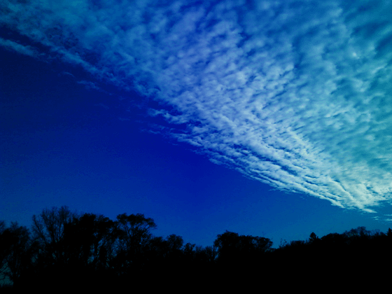 Bloomington Sky (30x45)