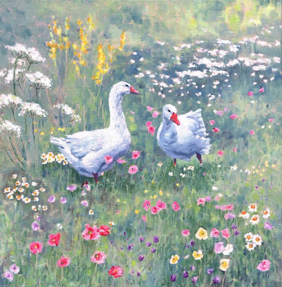 Geese in Summer Meadow