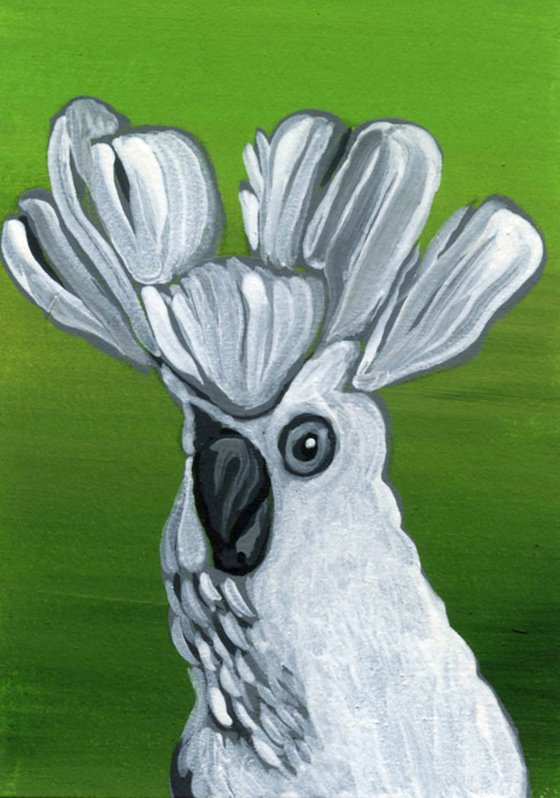 ACEO ATC Original Miniature Painting Umbrella Cockatoo Parrot Pet Bird Art-Carla Smale