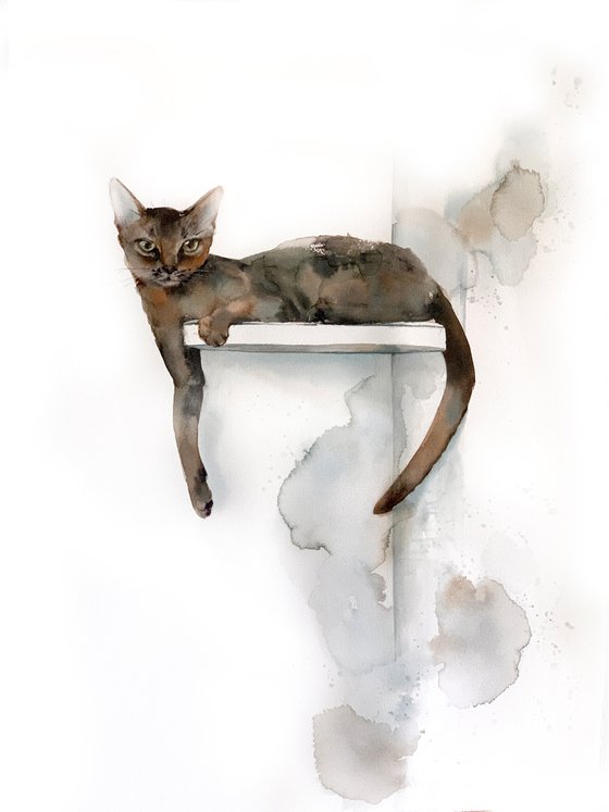 Abyssinian Cat Painting - Perfect Place