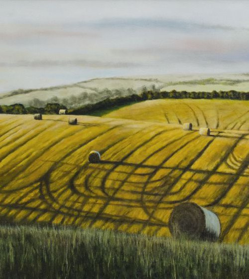 Haybales on the Isle of Purbeck by Andrew McNeile Jones