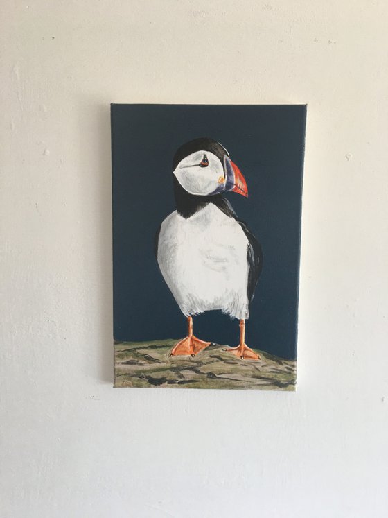 Standing Puffin