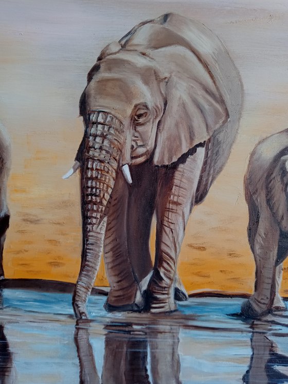 Elephants at the watering hole