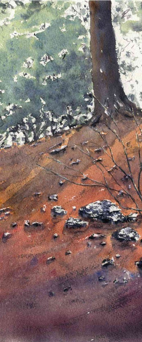 SHADY GULLY - ORANGE by Neil Wrynne