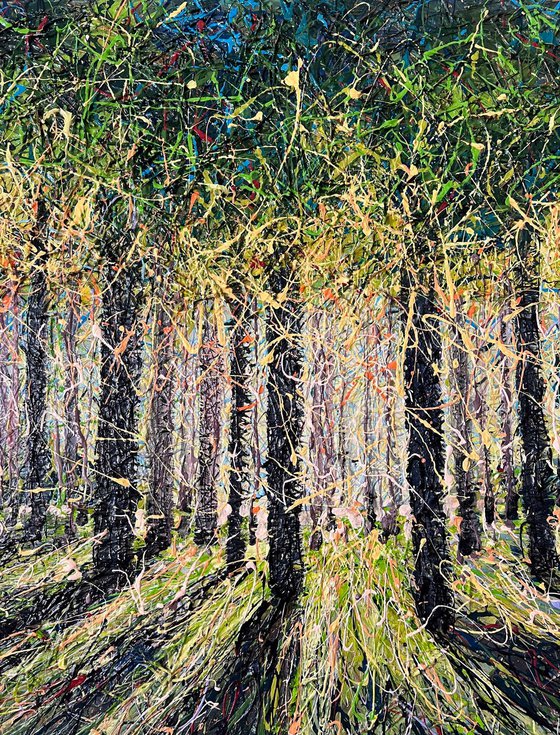 Spring Forest Light
