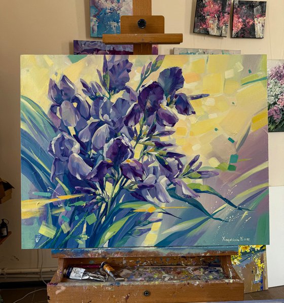 Irises in the Sunshine