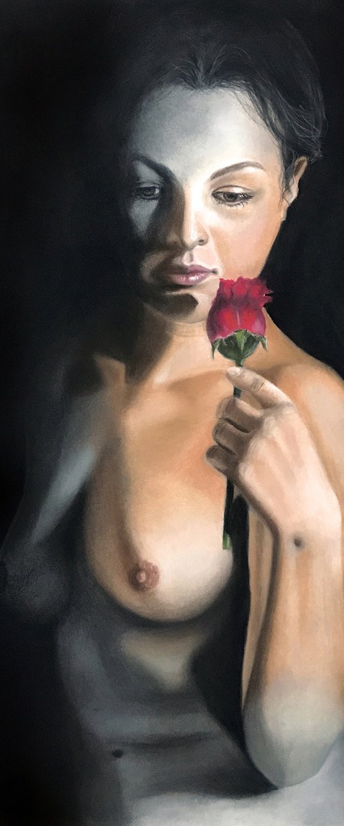 Red Rose by Erika Farkas