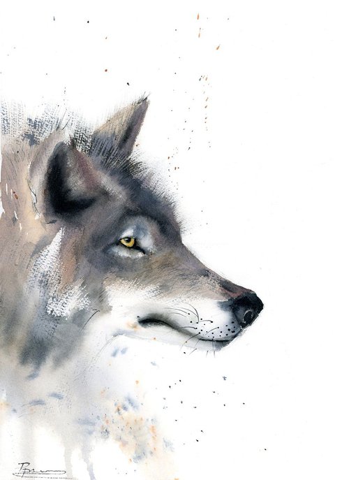 Wolf portrait by Olga Tchefranov (Shefranov)