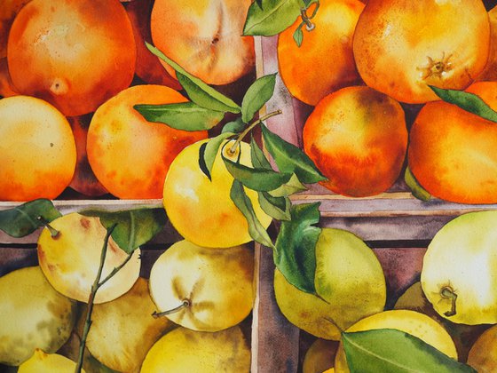 Citrus season