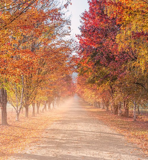 McCormack's Lane by Nick Psomiadis