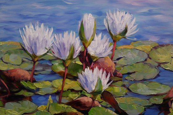 "Water lilies"