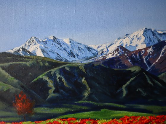 Mountain, Field of poppies